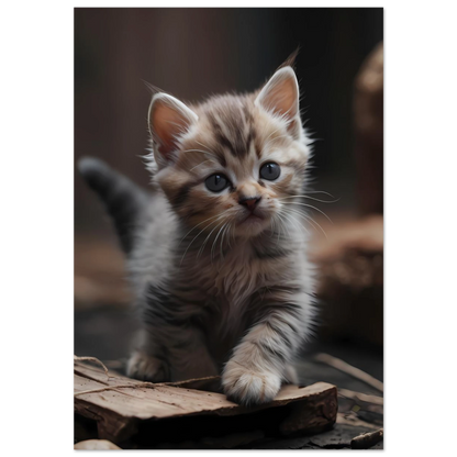 1fc894ff-3912-44b5-b99f-701422ee0f57