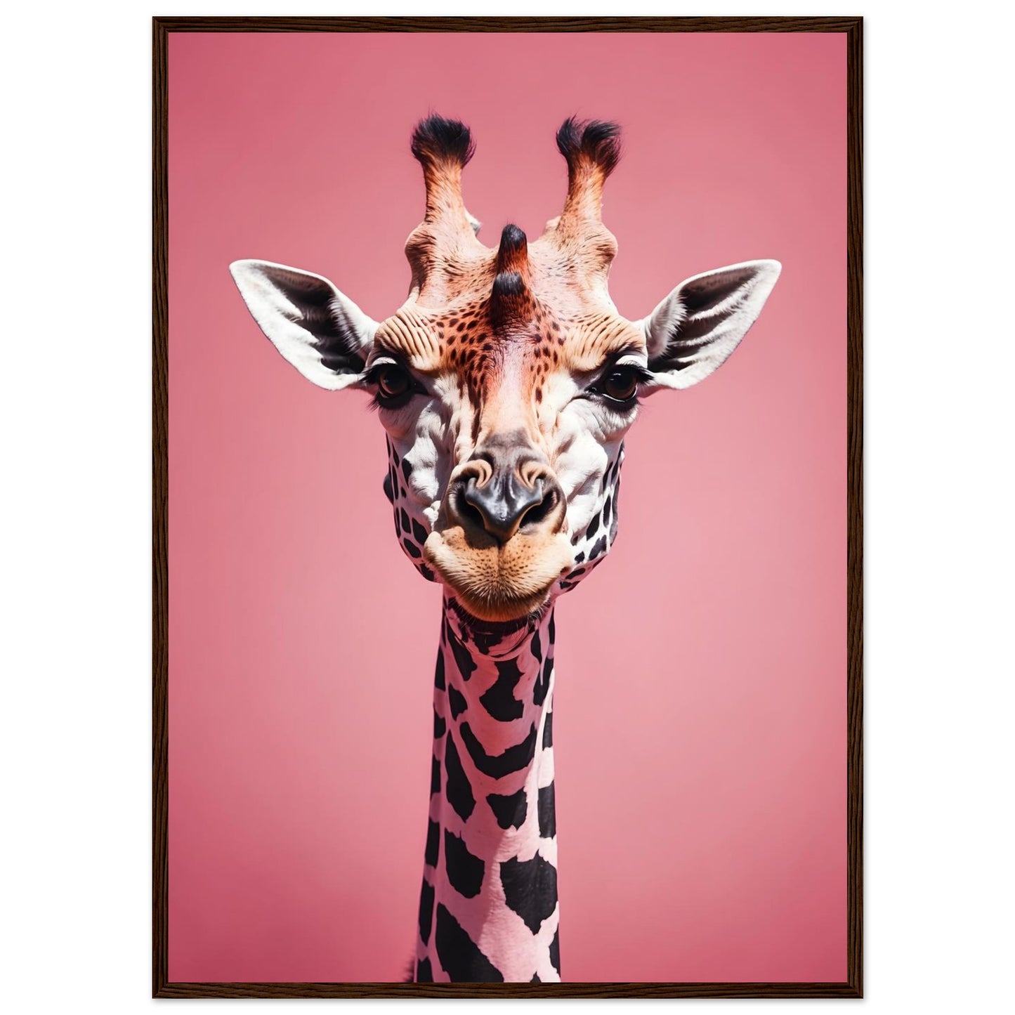 bd3399d1-bf4c-46fa-a0e6-7e13eca05678