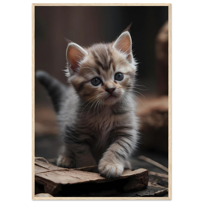 d88adc70-71be-4deb-ba3b-24afba4a28a0