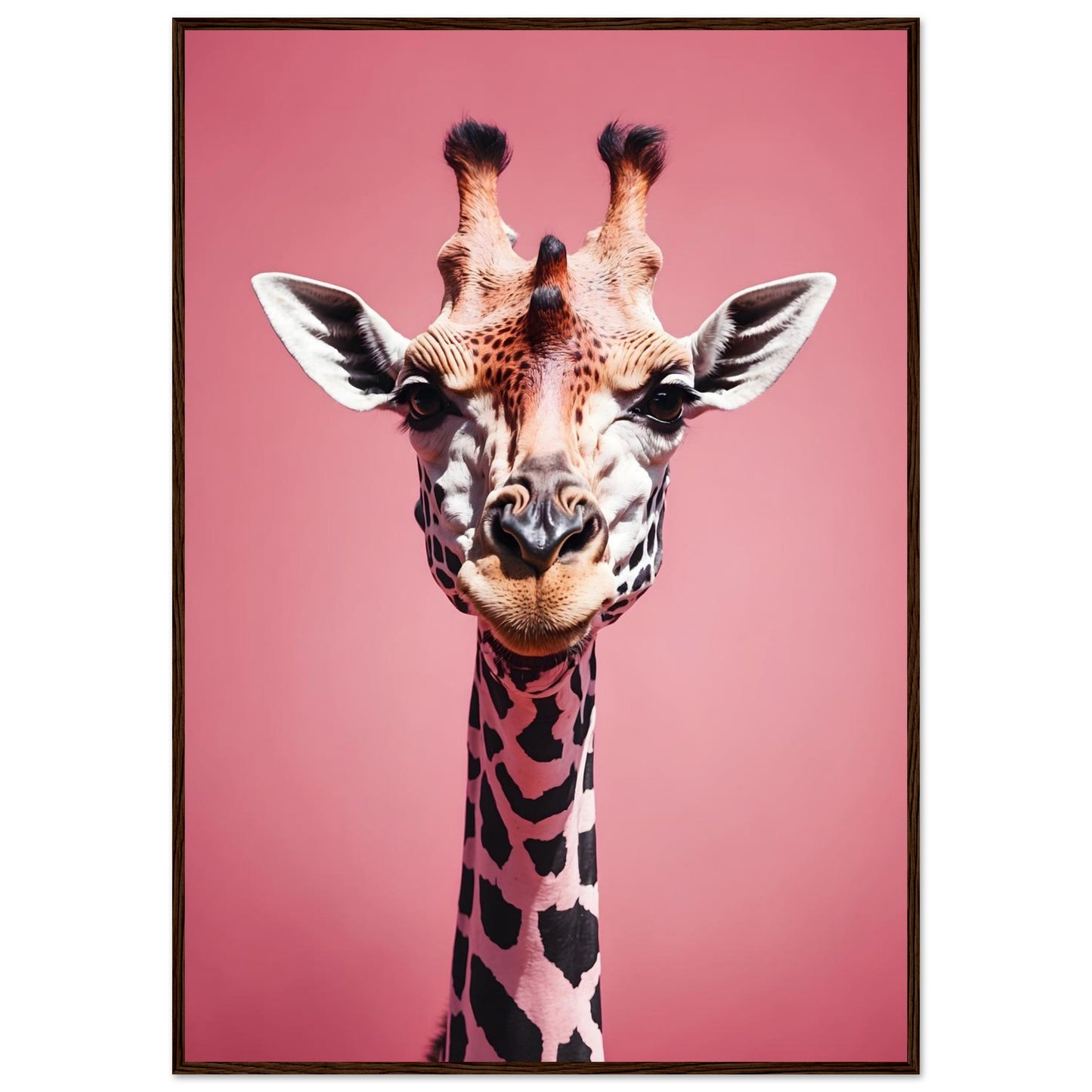 e15ecafc-8ca8-412d-913f-43ed004c284b